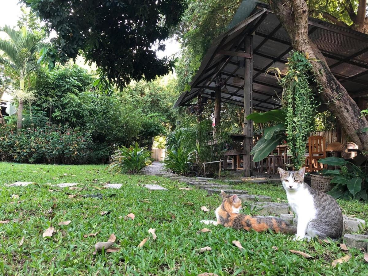 Lanna Homestay Chiangmai Chiang Mai Luaran gambar
